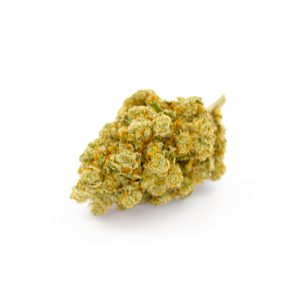 Amnesia Royal CBD Indoor Hydro