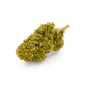 Forbidden Fruit CBD Glasshouse 7 Forbidden fruit Glasshouse BB 1
