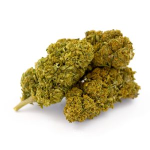Forbidden Fruit CBD Glasshouse 6 Forbidden fruit Glasshouse BB 3