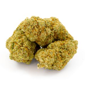 Banana Kush Royal CBD Indoor Hydro 8 Banana Kush Indoor Hydro 4 2