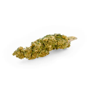 Amnesia CBD Glasshouse 3 Big-Buds-CBD---Amnesia-Haze-Glasshouse-1