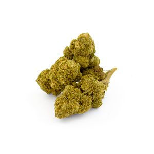 Kanna TSU small buds CBD glasshouse 3 Kanna TSU Glasshouse 2 2
