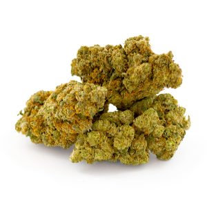 OG mint CBD indoor 5 OG Mint Indoor 3 2
