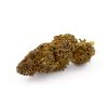 Purple Haze CBD Glasshouse 2 Purple Haze Glasshouse 1 1