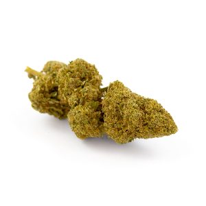 Sour Lemonade CBD Glasshouse 7 Sour Lemonade CBD Glasshouse - Image 3