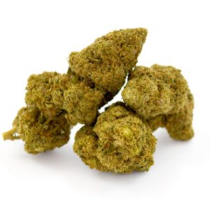 Sour Lemonade CBD Glasshouse 9 Sour Lemonade CBD Glasshouse - Image 5