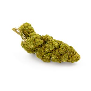 White Widow Royal CBD Glasshouse 13 White Widow Royal Glasshouse 5 1