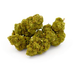 White Widow Royal CBD Glasshouse 17 White Widow Royal Glasshouse 9 1