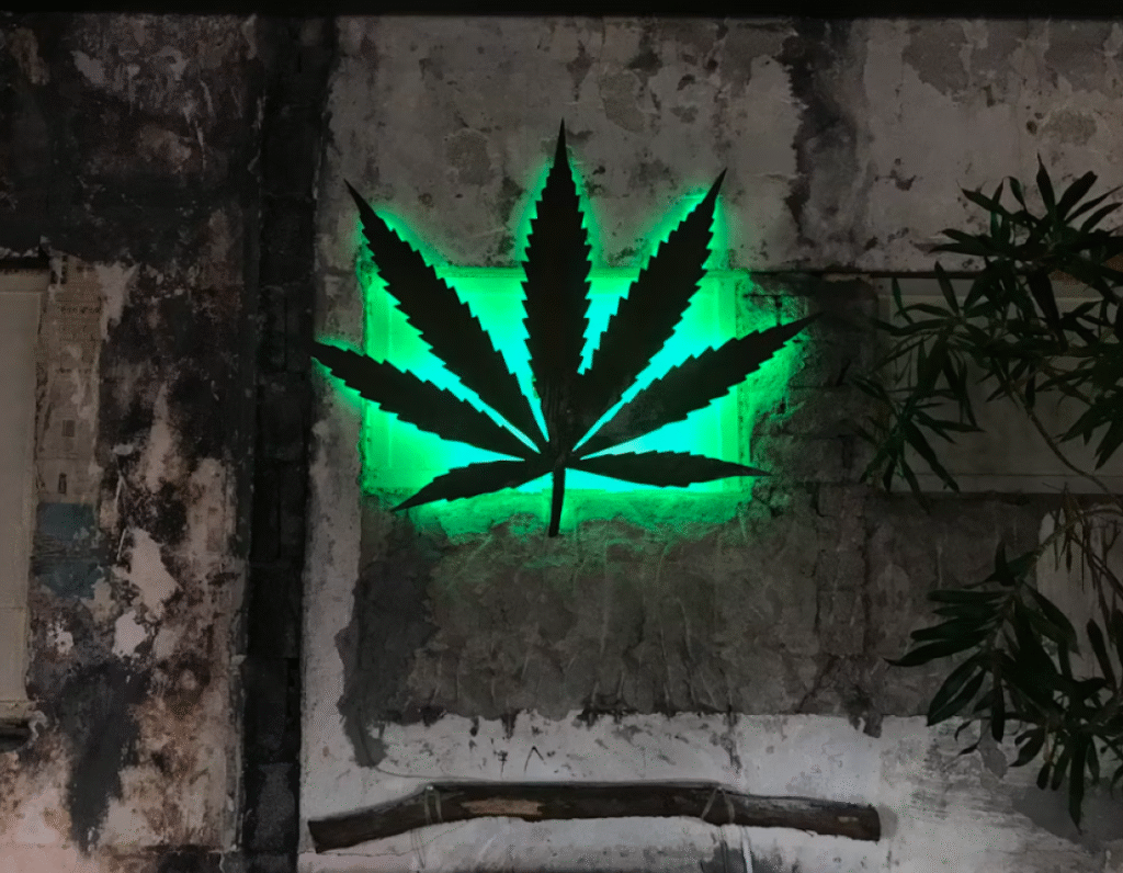 What CBD events are happening in November 2025? 1 cannabis and cbd events in novembre 2025