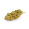 Tangie CBD Greenhouse 5 Tangie-Greenhouse