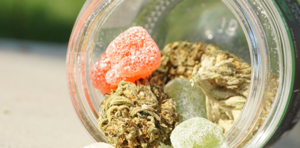 Edible CBD banned in France from 15 May 2026 1 edibles cbd french law